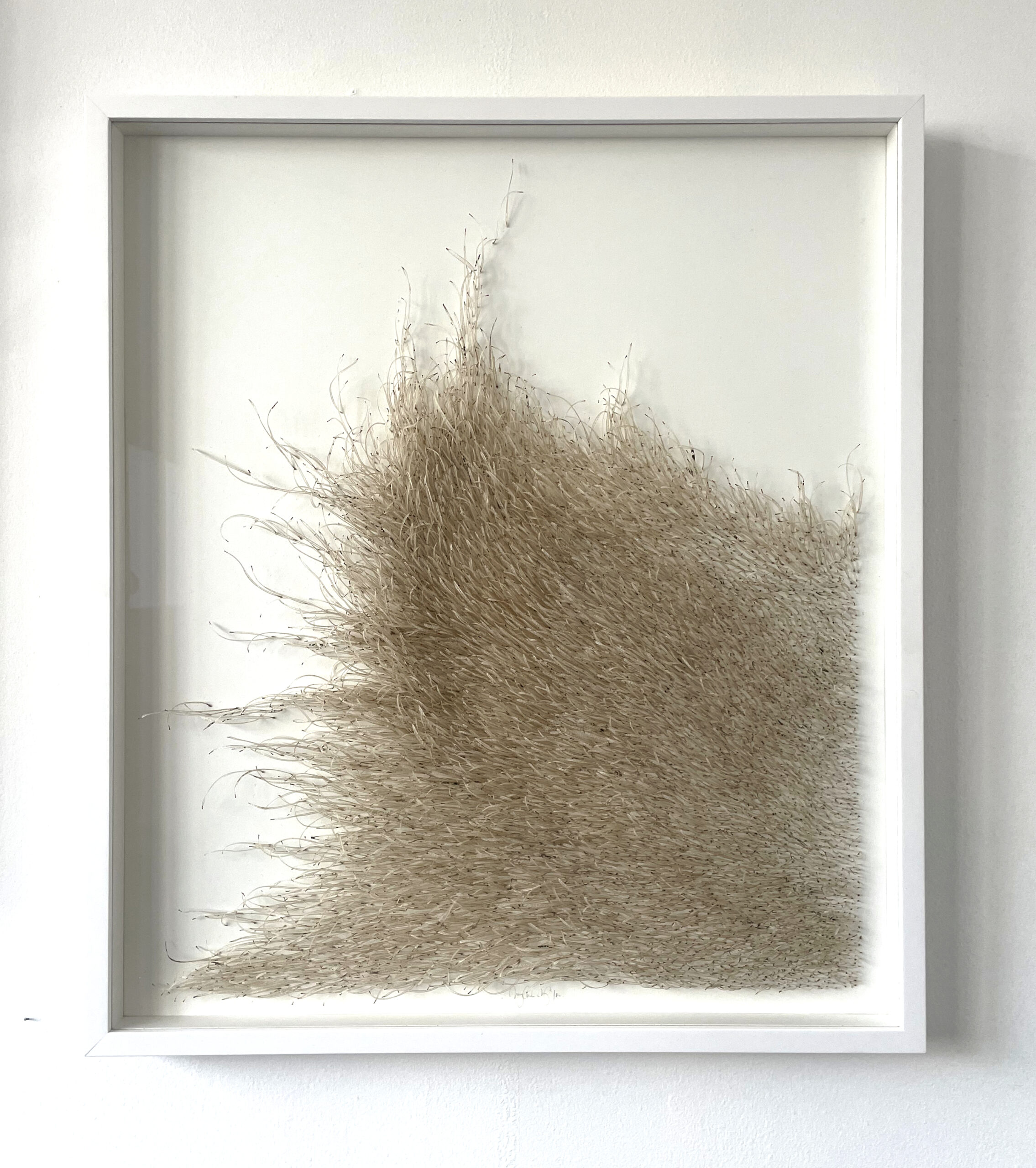 Mylinh Nguyen - graines longues encadrées (série 2) - Galerie d’art à Brest