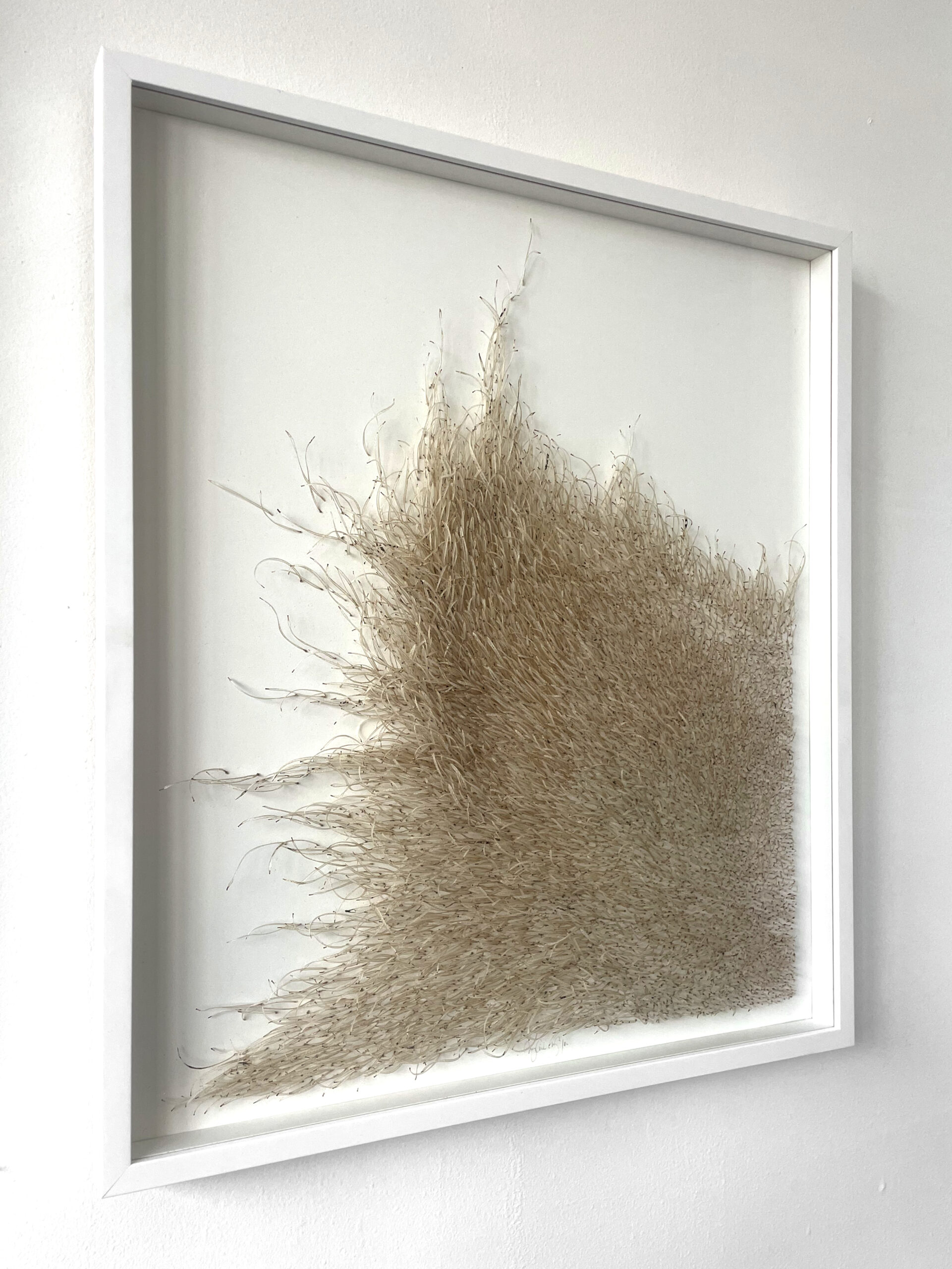 Mylinh Nguyen - graines longues encadrées (série 2) - Galerie d’art à Brest