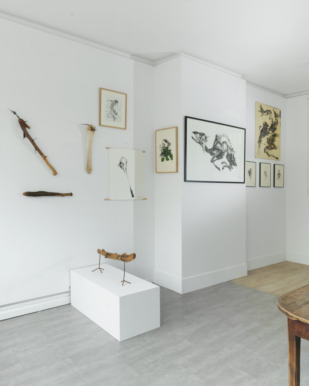 Photo de la galerie