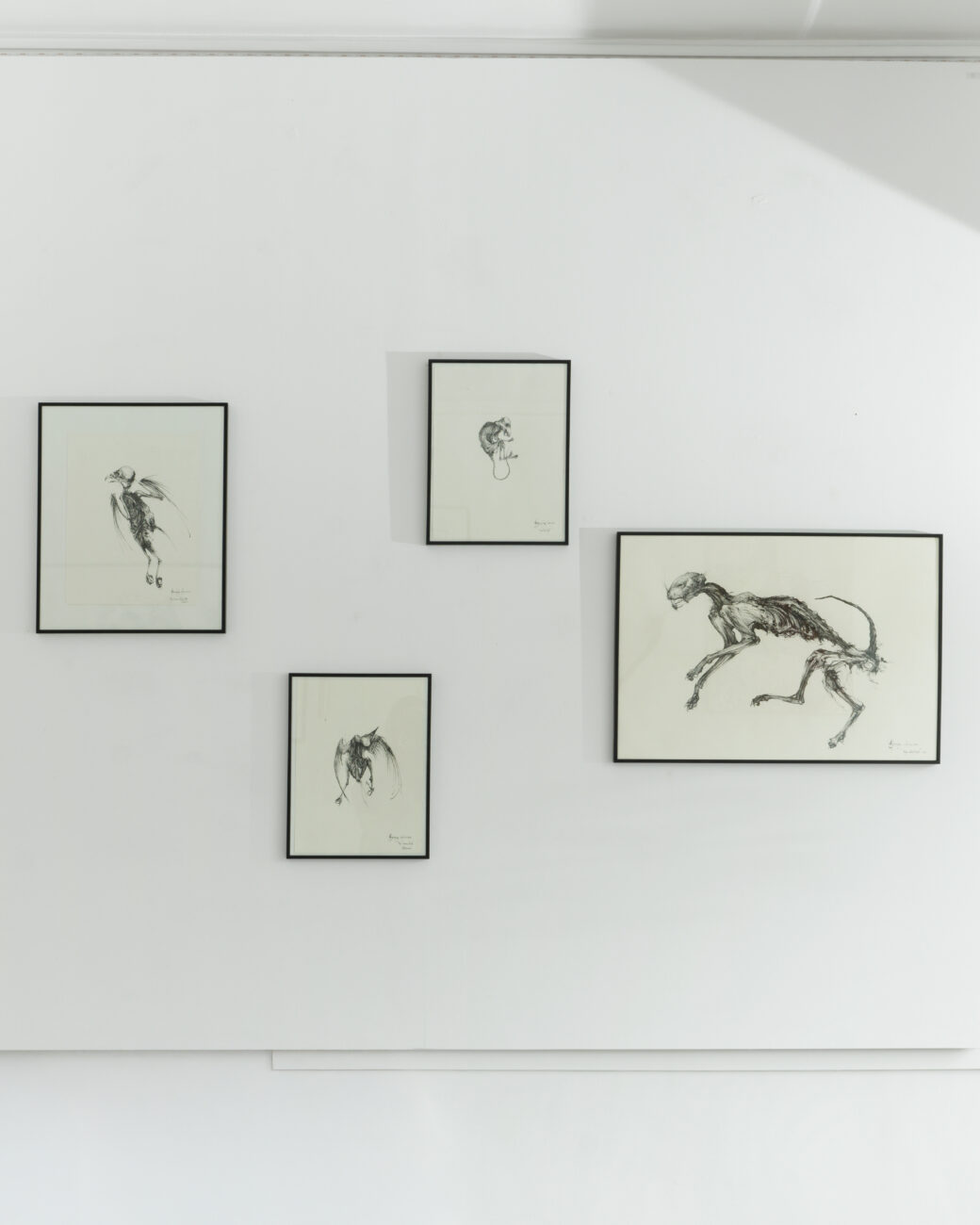 Photo de la galerie